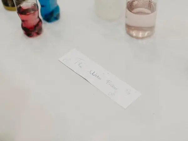 Young Women's Conference Luxembourg 2026, photo 112
